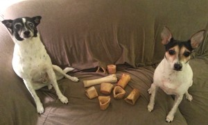 This is part of our chew bone collection.