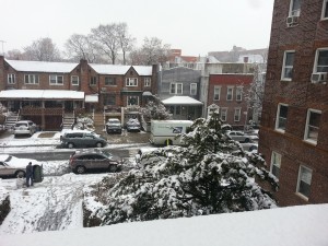 Our snowy neighborhood from our window!