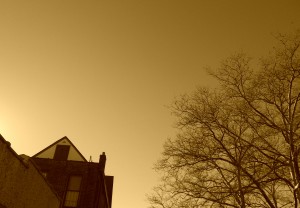 Brooklyn Sepia Sky