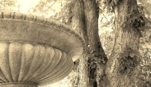 Another angle of scary Sepia Flying Saucer